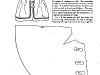 1855_petersons_395
