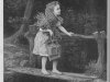 1881_petersons_23